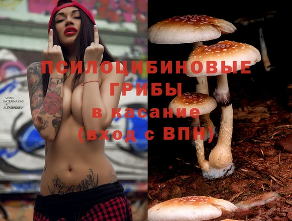 синтетический гашиш Алексеевка