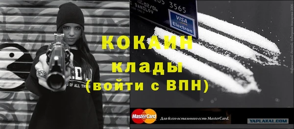 ПСИЛОЦИБИНОВЫЕ ГРИБЫ Арсеньев