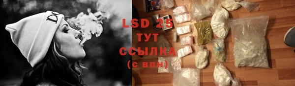 ПСИЛОЦИБИНОВЫЕ ГРИБЫ Арсеньев