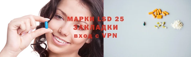 ПСИЛОЦИБИНОВЫЕ ГРИБЫ Арсеньев